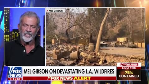 Wise Mel Gibson speaks to Laura Ingraham about the LA fires, was it on purpose?