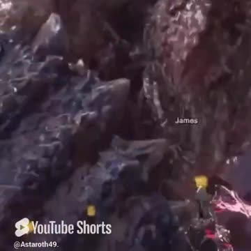 McDicken. Monster Hunter? He's not wrong. #monsterhunterworldiceborne