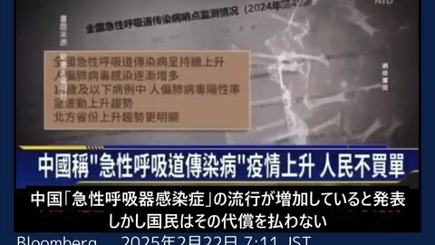 コウモリから新型コロナに似た新たなウイルス検出、武漢の研究所発表