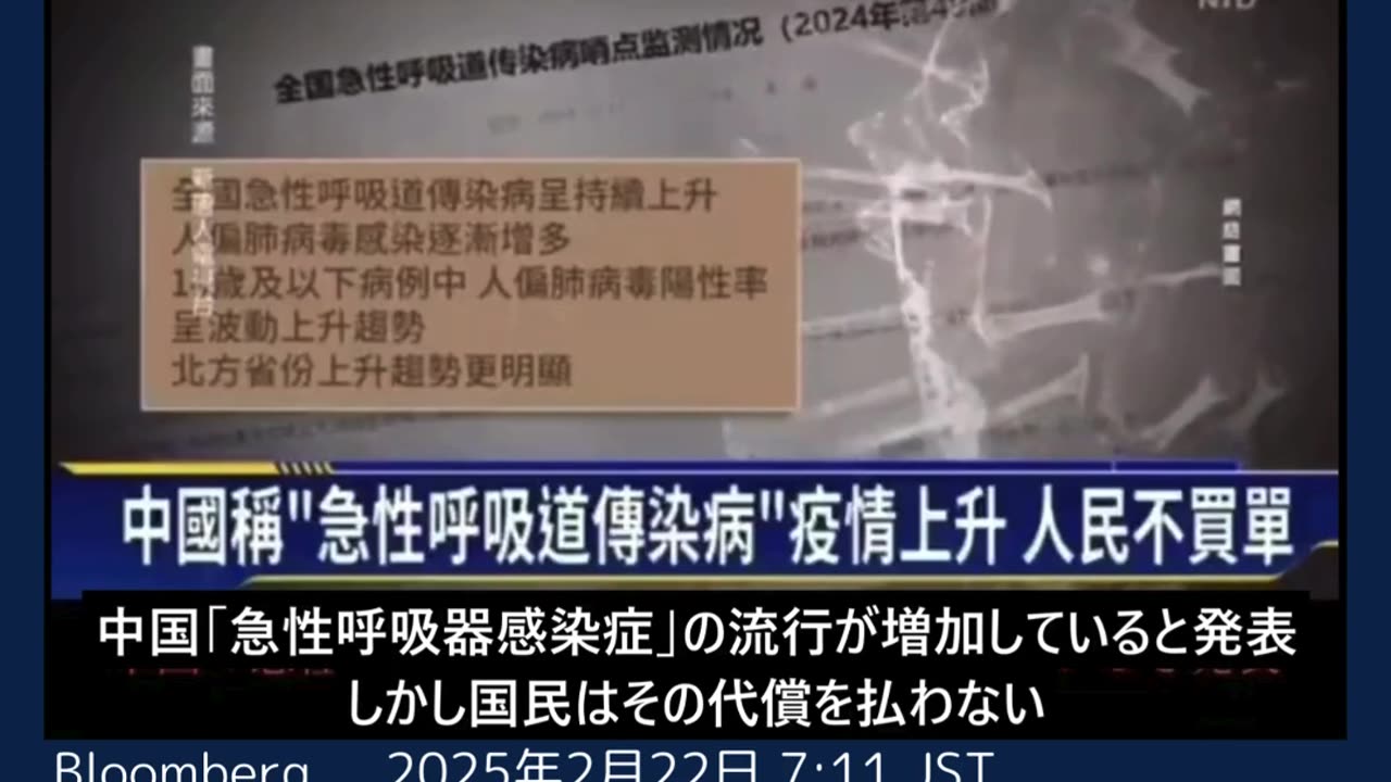 コウモリから新型コロナに似た新たなウイルス検出、武漢の研究所発表