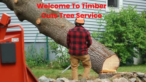 Timber Cuts Tree Trimming Services in Kaysville, UT | 84037