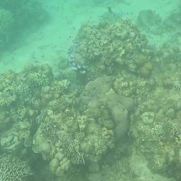 Snorkeling Morning!!