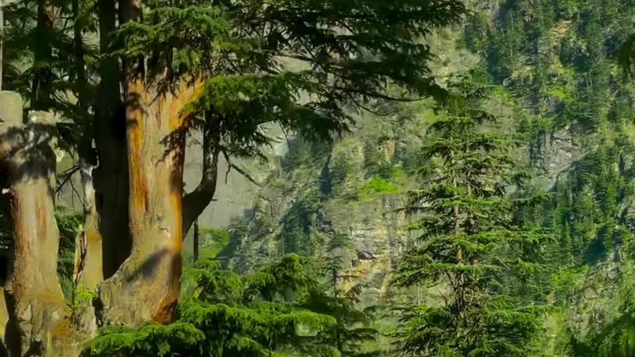 Very nice place here | Most Beautiful beautiful views here