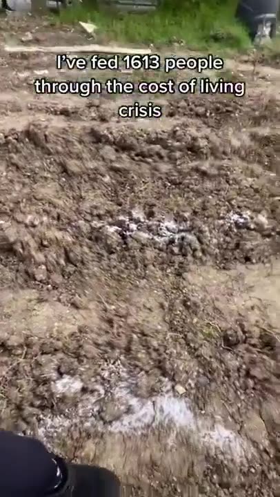 Someone sprayed SALT on this ladys crops. Killed all her plants