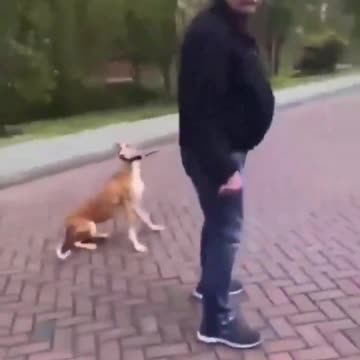 They always attack old people, women and children