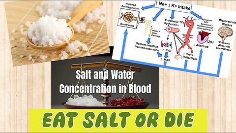 Eat Salt or Die