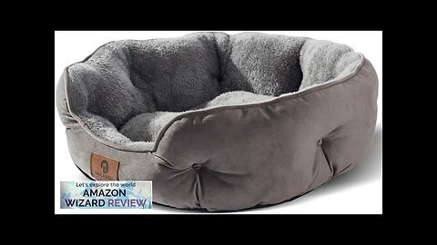 Asvin Small Dog Bed for Small Dogs Cat Beds for Indoor Cats Review