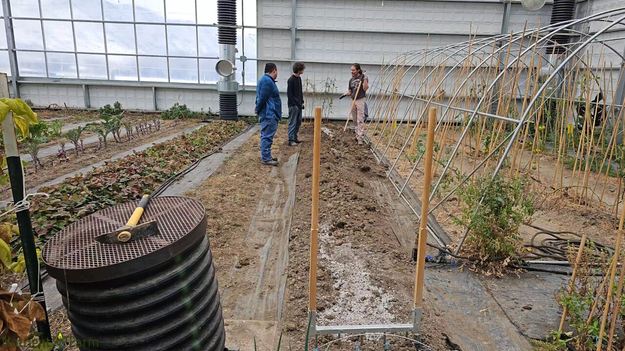 Nutrient Farm Scenery #49 - Greenhouse Grow Bed Prep