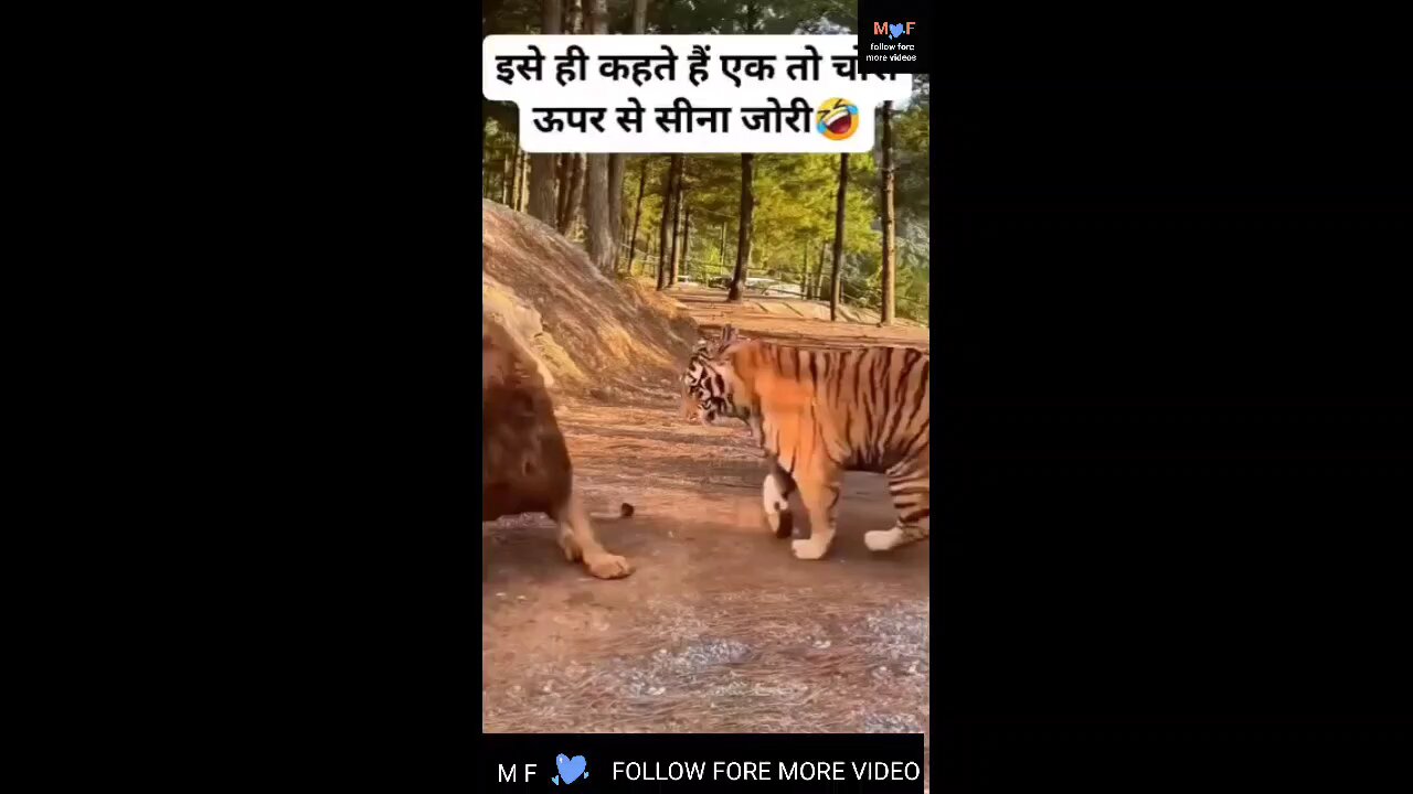 like comment and share video