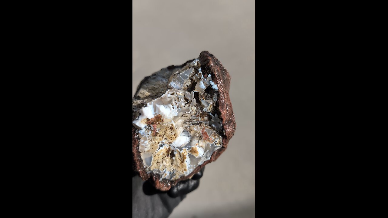 Half a thunderegg!