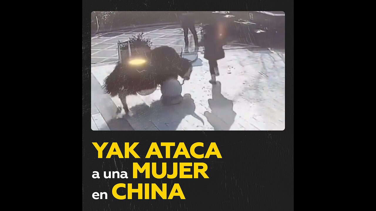 Mujer es embestida por un yak frente a un restaurante en China