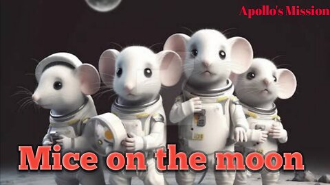 Three mice went to the moon