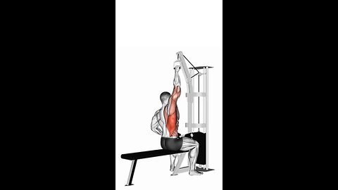 Cable One Arm Lat Pulldown Exercise.