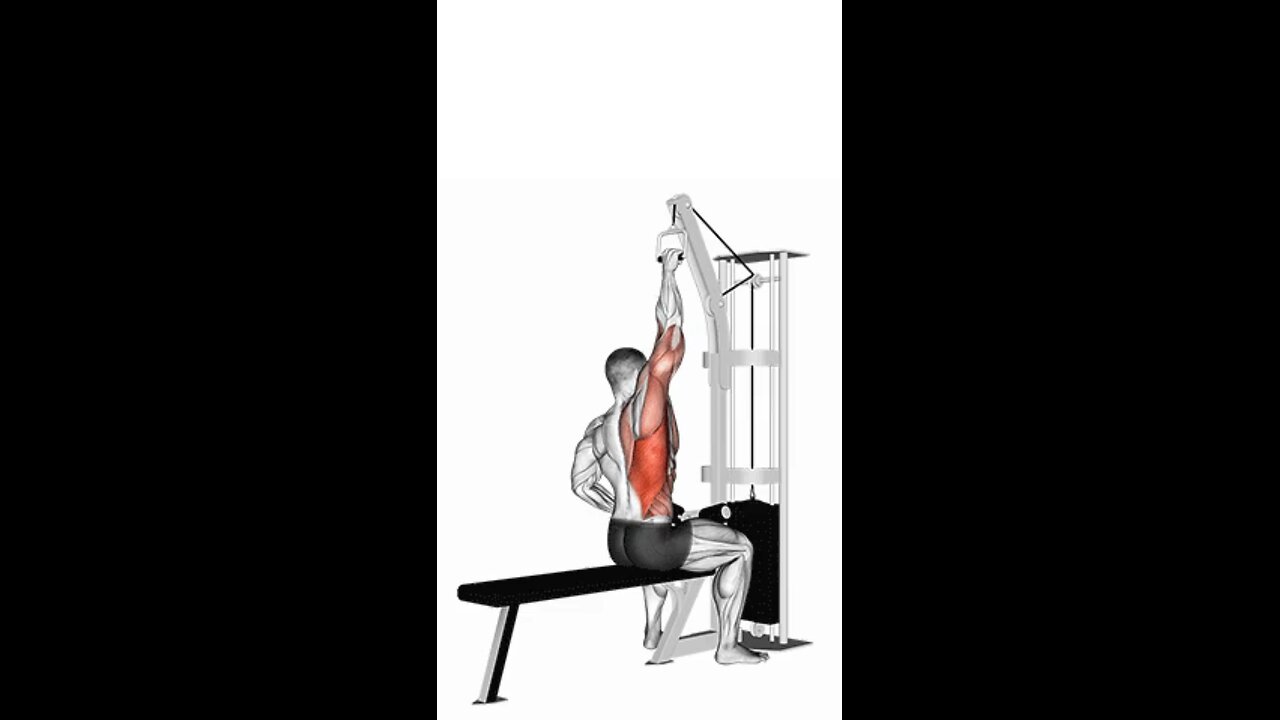 Cable One Arm Lat Pulldown Exercise.