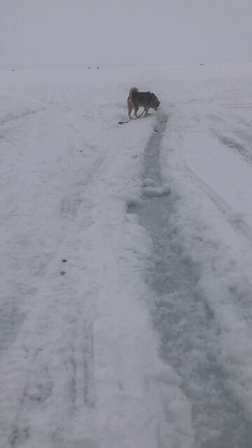 Sunday February 23, I could ask my father for thousands of angels to protect us.