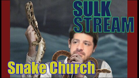 Sulk Stream #361 Snake Church