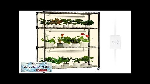 VEVOR Plant Stand with Grow Lights 4 Tiers 72W 59" Tall Plant Review