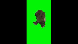 Dancing Stuffed Animals | Green Screen