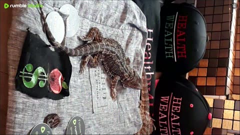 ⭕ Live Day 3 Stream 2025 🔴 With 🐉 Mascots 🍎 🐲 Kobe & Health A Day In The Life Of Bearded Dragons🐲Day3🐉⭕Live🦎Stream🔴