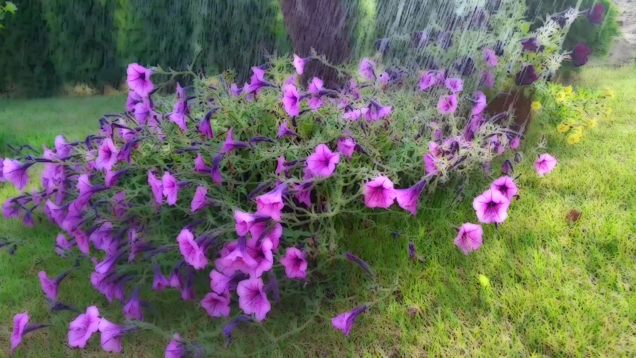 ASMR, Fall Fast Asleep with this Soft Rain & Piano Sound, Bird Sounds, Nature's White Noise