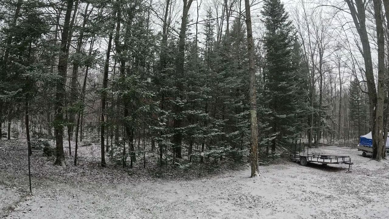 2025 01 01 First Snow Fall Of The Year Time Lapse