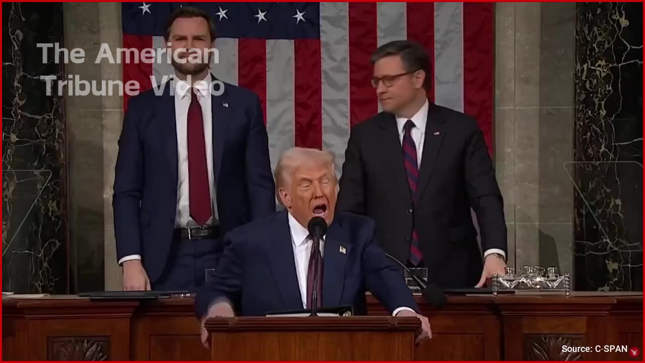 Loser Dems Try Interrupting Trump During State of The Union