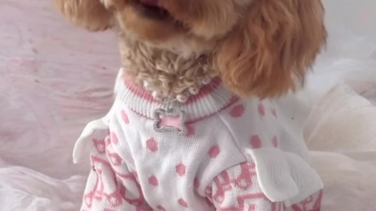 Wow... impressive good night ❤️❤️❤️❤️❤️💕