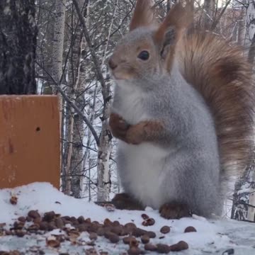 Well, it's very tasty!