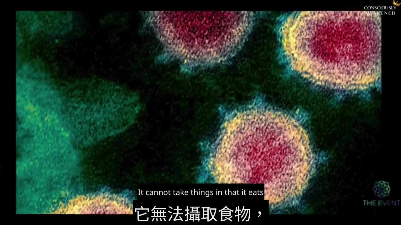 🌟 簡化複雜的科學話題！ 🌟