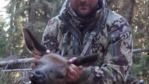 Wyoming Public Land Elk Hunt