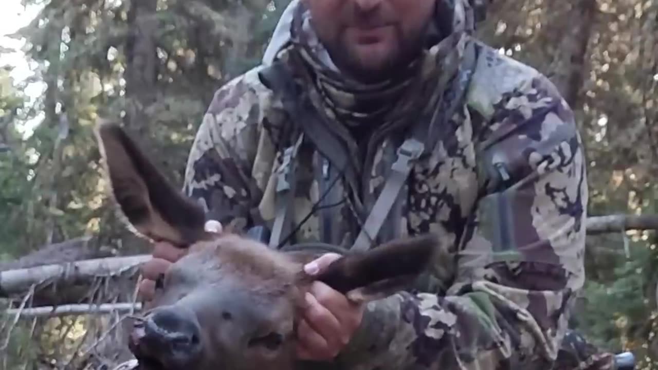Wyoming Public Land Elk Hunt