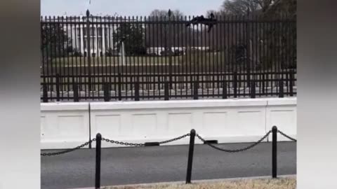 News! Man Stuck Scaling White House Fence: Secret Service Responds Swiftly!