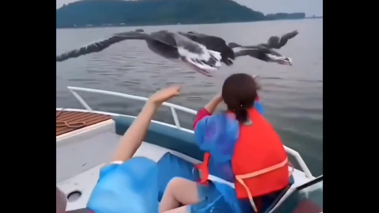 Nature is Amazing
