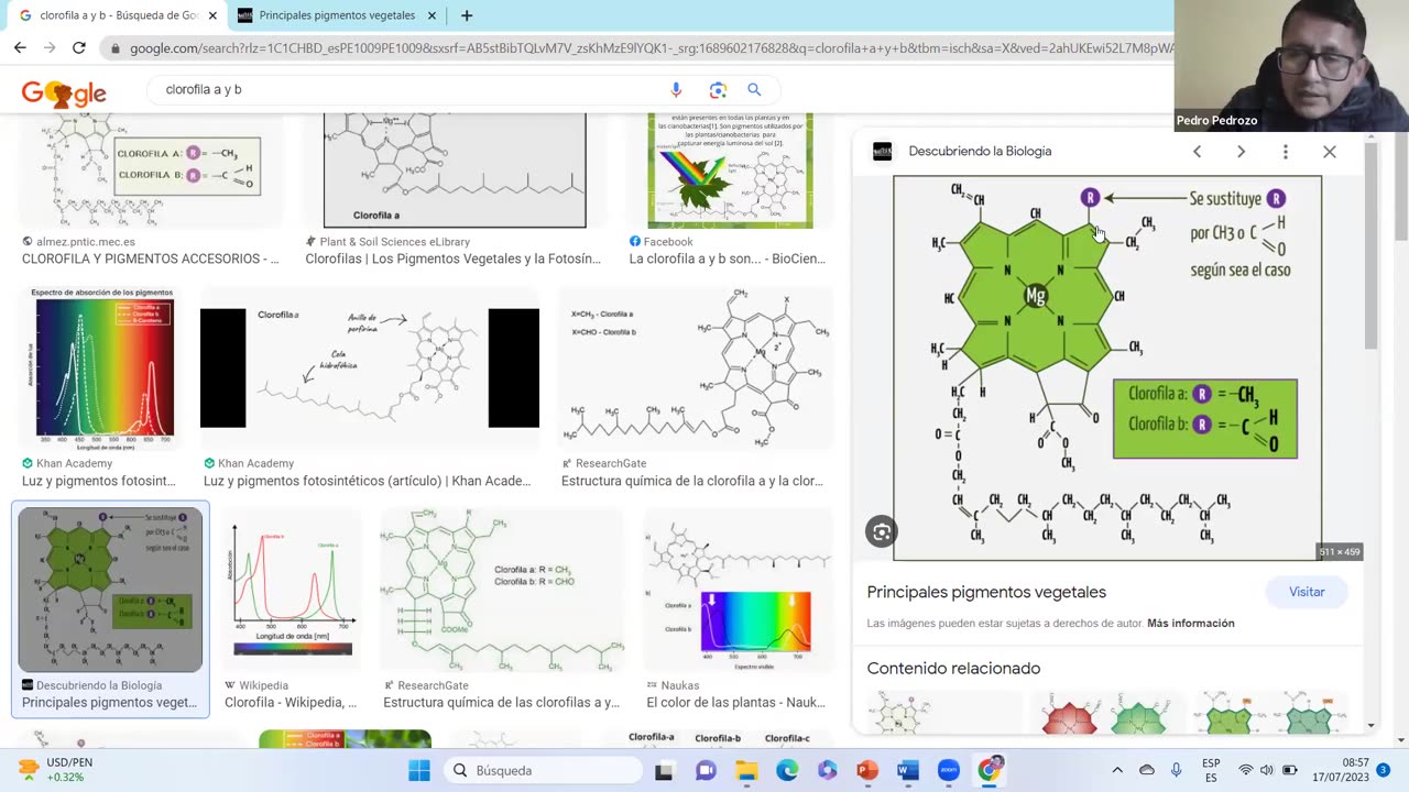 ADC SEMIANUAL 2023 | Semana 20 | Biología S1