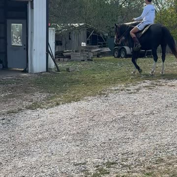 Malachi and Luke 10/13/2024 H