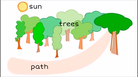 Nouns Grade 1-3