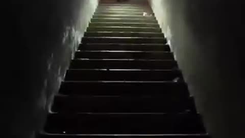 Tunnels