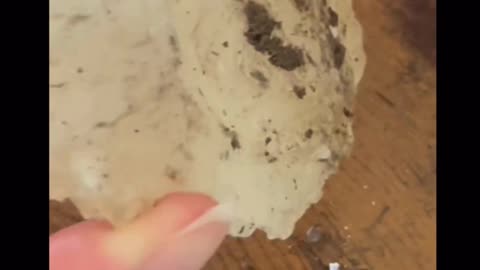 WHAT IS THIS?