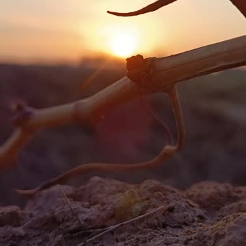 The Beauty of Sunset – A Peaceful Moment in Nature