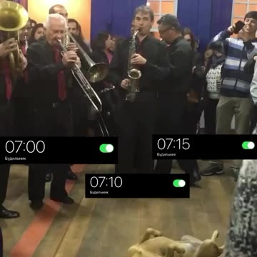 Hard time waking up in the morning