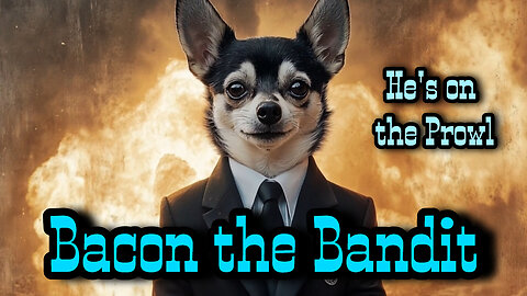 Bacon the Bandit - Comedy Music Video Featuring a Rat Terrier