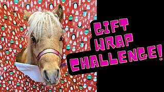 We Did The HILARIOUS Viral WRAPPING Paper CHALLENGE!