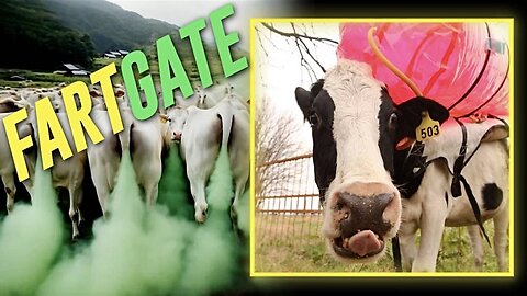 FARTGATE: DOGE Discovers $8 Million In Taxpayer Dollars WASTED On Torturing Cows Because Their Farts Are "Bad"!