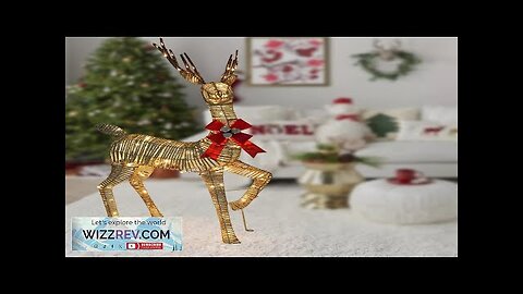 56’ Christmas Deer with Lights Christmas Decorations Outdoors Reindeer Light Review