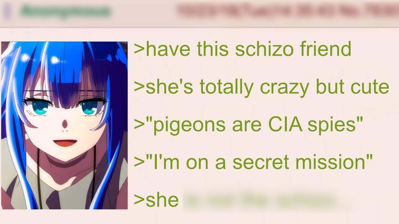 Anon's Wild Adventures with a Schizo Girl | 4Chan Greentext Stories