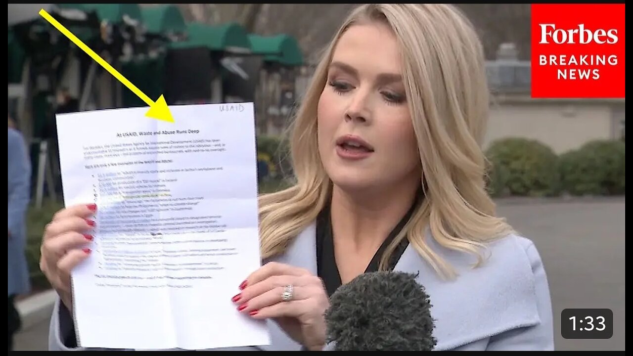 _These_Are_Some_Of_The_Insane_Priorities__USAID_Has_Funded__Karoline_Leavitt