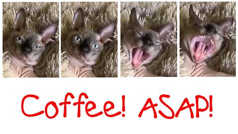 Coffee! ASAP!