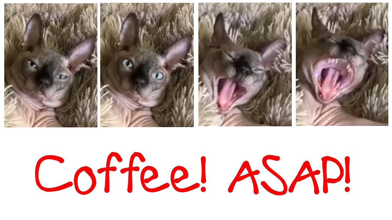 Coffee! ASAP!