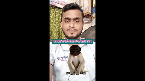 বানরের মাথাটি জোড়া লাগিয়ে দেখান #shorts #puzzle #challenge #viral