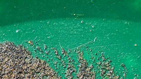 Gold Prospecting North Creeks for my health